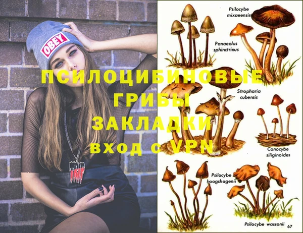 гидропоника Няндома