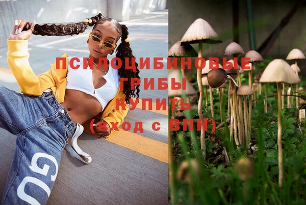 шишки Нягань