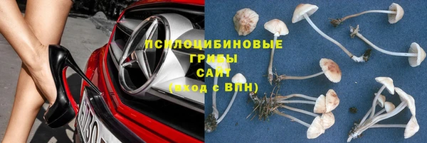 шишки Нягань