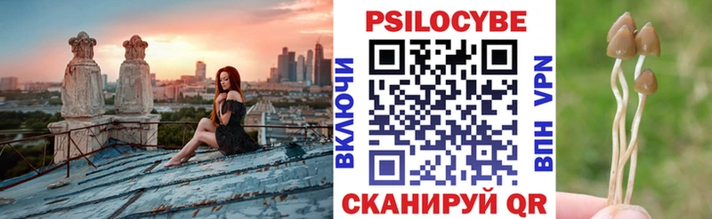 Галлюциногенные грибы прущие грибы  Цимлянск 