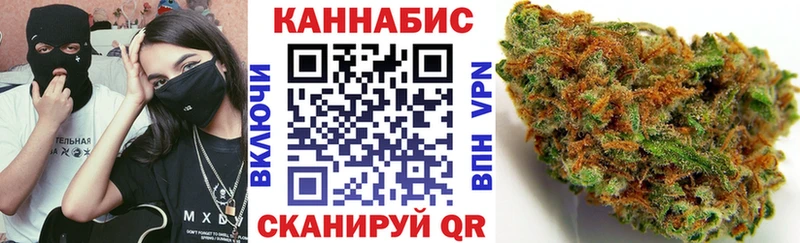 Канабис сатива Цимлянск